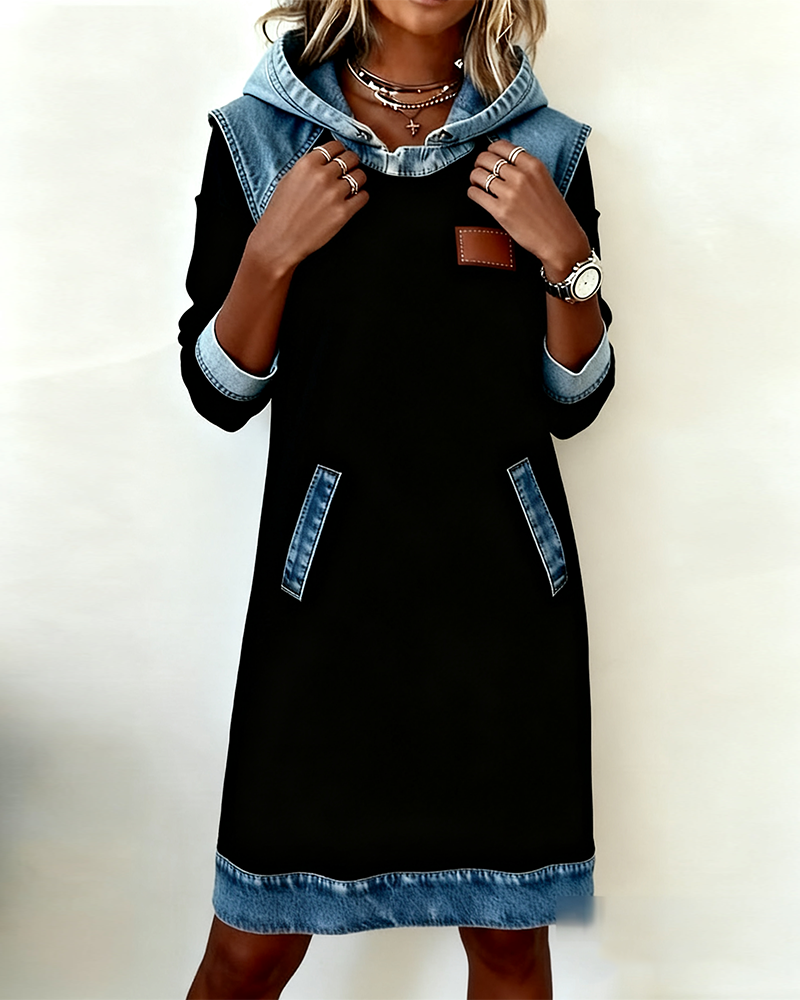 Hooded Paneled Contrast Dress
