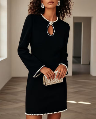 Stylish Long Sleeve Straight Dress