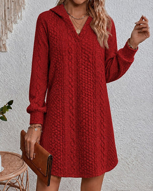 Hooded Casual Solid Dress