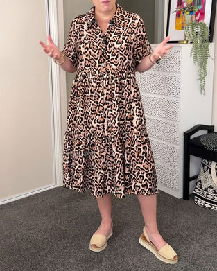 A-Line Leopard Print Collared Dress