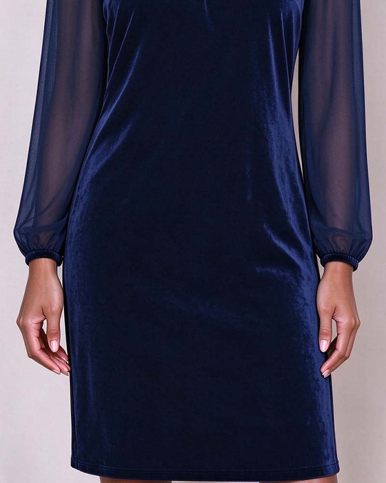 Velvet Long Sleeve Dress